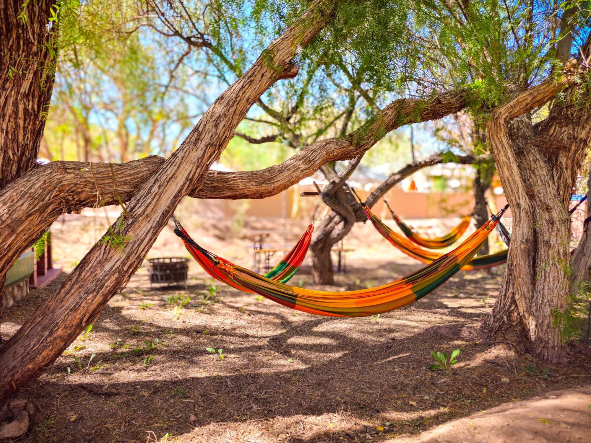 Lodge Ancar Atacama سان بيدرو دي أتاكاما المظهر الخارجي الصورة